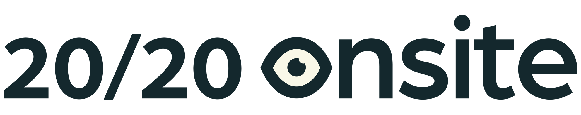 20/20 Onsite